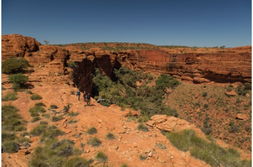 kings-canyon-rim-walk-national-park-uluru-northern-territory-australia-guide