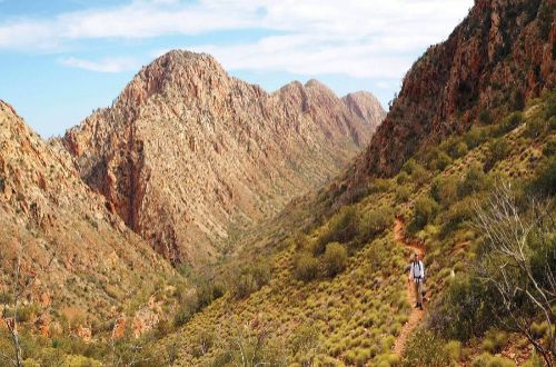 Larapinta-Trail-guided-walk-Northern-Territory