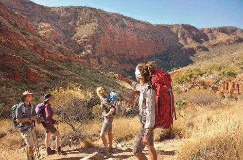 Larapinta-trail-guide-walkers