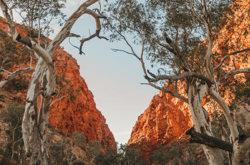 Larapinta-Trail-Simpsons-Gap