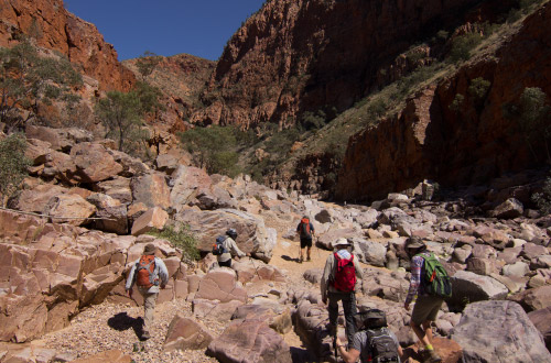 Larapinta-trail-guided-walk