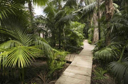 australia-tour-lord-howe-island-walk-kayak-snorkeling-arajilla-retreat-walkway