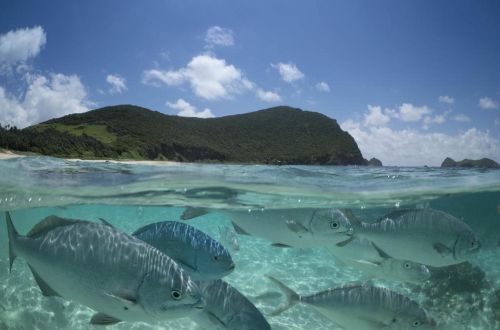 australia-tour-lord-howe-island-walk-kayak-snorkeling-neds-beach