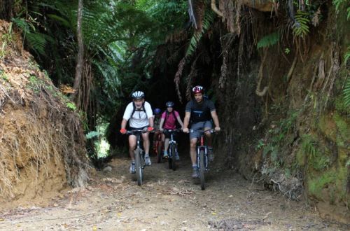 fishers-track-cycling-tongariro-new-zealand-north-island