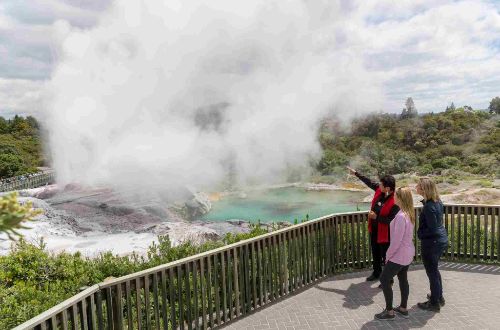 new-zealand-north-island-gourmet-walk-te-puia-geothermal-park