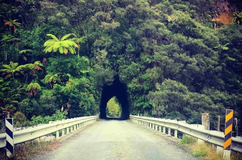 new-zealand-walk-north-island-gourmet-walk-forgotten-highway