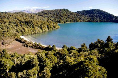 new-zealand-walk-north-island-gourmet-walk-lake-Rotopounamu
