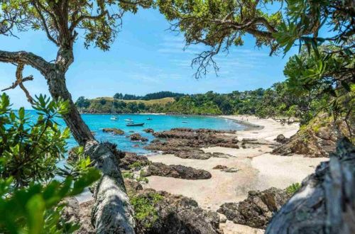 new-zealand-walk-north-island-gourmet-walk-waiheke-bay