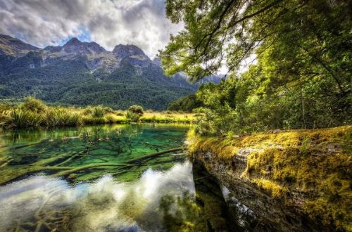 south-island-walk-new-zealand-milford-sound-walking-track-lake