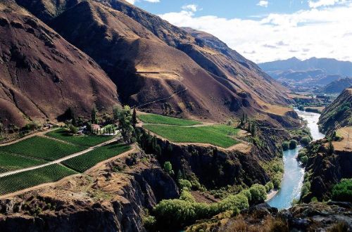 south-island-walk-new-zealand-queenstown-winery-tour