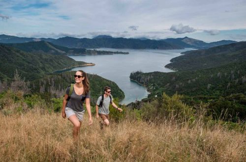 Queen-Charlotte-Track-Walk-Self-Guided