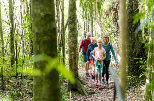 new-zealand-tour-queen-charlotte-track-family-walking-together-