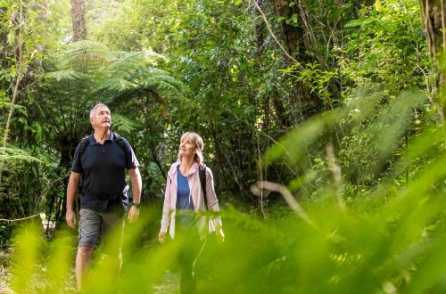 Queen-charlotte-track-new-zealand-walk