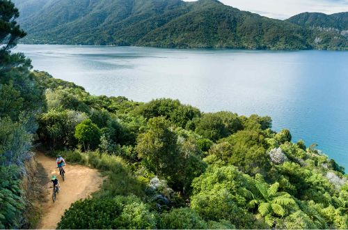 queen-charlotte-cycling