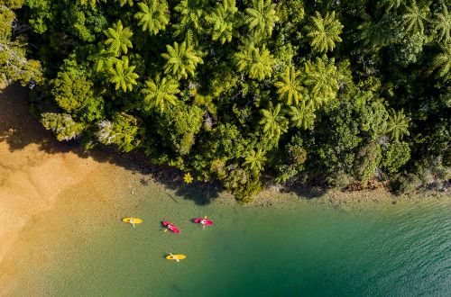 queen-charlotte-track-kayaking
