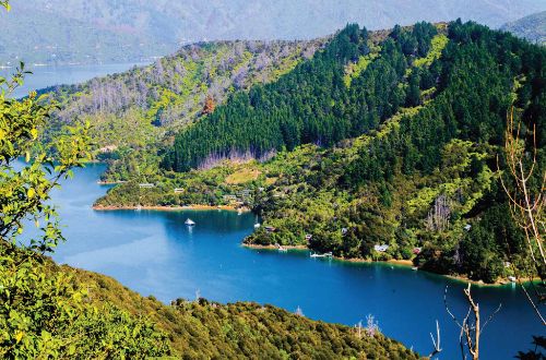 queen-charlotte-track-walk-picton-new-zealand-marlborough-sounds-tour