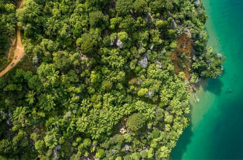 queen-charlotte-walk-queen-charlotte