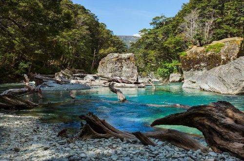Queestown-walk-routeburn-track-routeburn-river