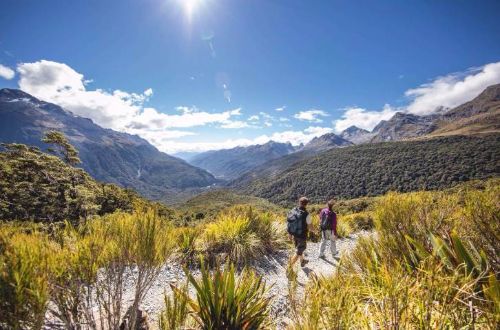 Routeburn-Track-Key-Summit-Fiordland-Walk