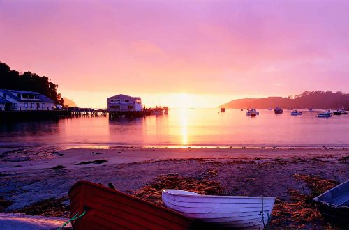 stewart-island-walk-queenstown-new-zealand