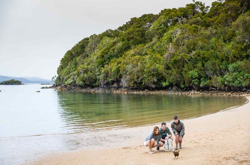 stewart-island-walk-queenstown-new-zealand