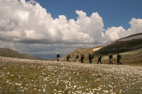snowy-mountains-tour-walking