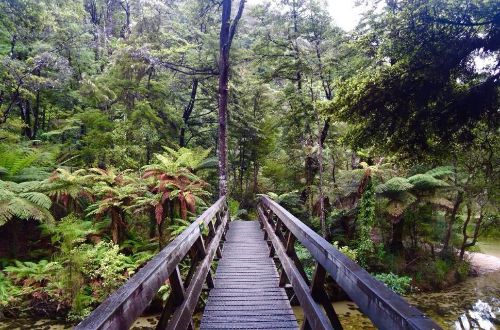 South-Island-New-Zealand-Gourmet-Walk-able-tasman-bridge