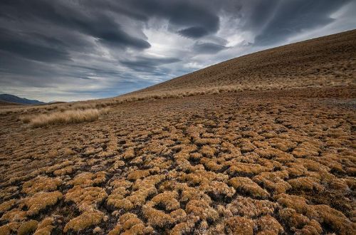 Best-of-Southern-Alps-Trek-Heli-Hike-lake-tekapo-hike