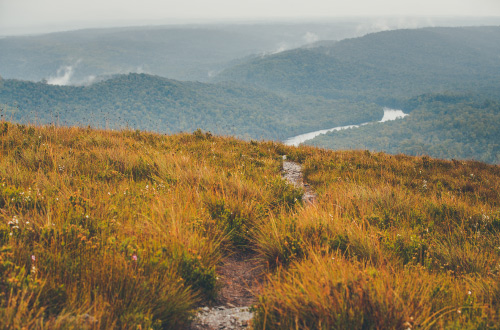 Mount-Donaldson-tasmania