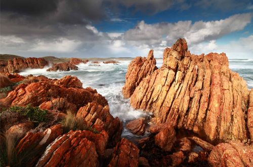 tarkine-wilderness-walk-tasmania-tarkine-coast-track