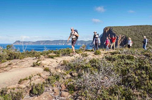 three-capes-tasman-peninsula-cape-raoul-walk-coast