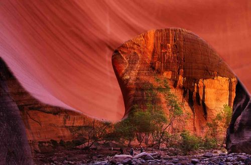 usa-walk-zion-national-park-red-rock
