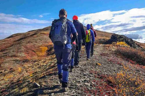 alaska-walk-denali-national-park-hiking-group