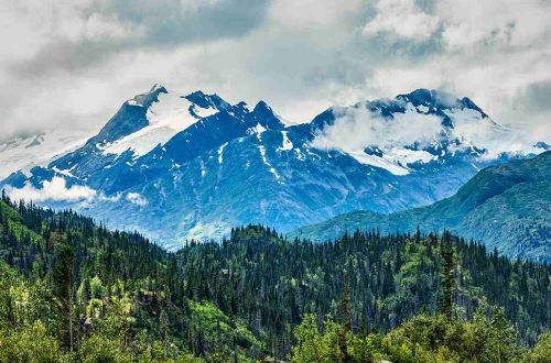 alaska-walk-kenai-fjords-national-park