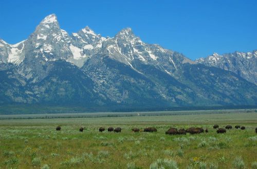 usa-walk-grand-teton-national-park-mountain-range