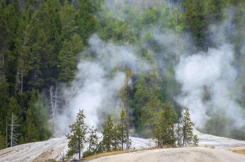 yellowstone-grand-teton-national-park-walk-hayden-valley