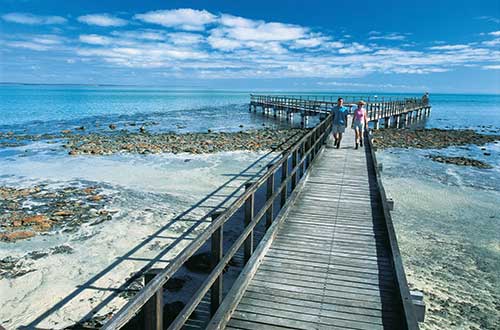 western-australia-Stomatolites-hamelin-pool