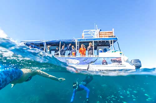 western-australia-coral-bay-glass-boat-tour-boat-and-snorkelers