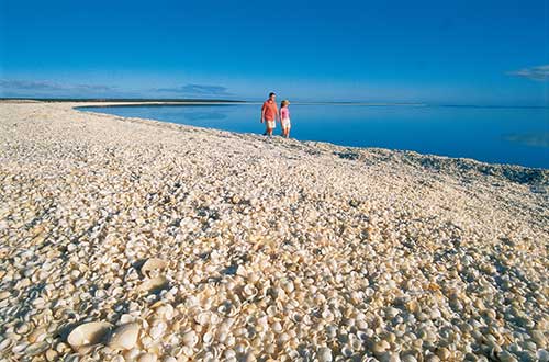 western-australia-shell-beach