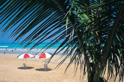 wild-kimberley-broome-cable-beach