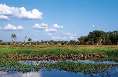 classic-kakadu-adventure-top-end-adventure-kakadu-walking-litchfield-walking-best-kakadu-walks-kakadu-national-park