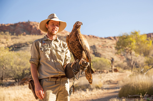 Alice-Springs-Desert-Park-Eagle-Birdshow